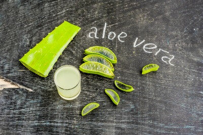 Aloe Vera Moisturizer