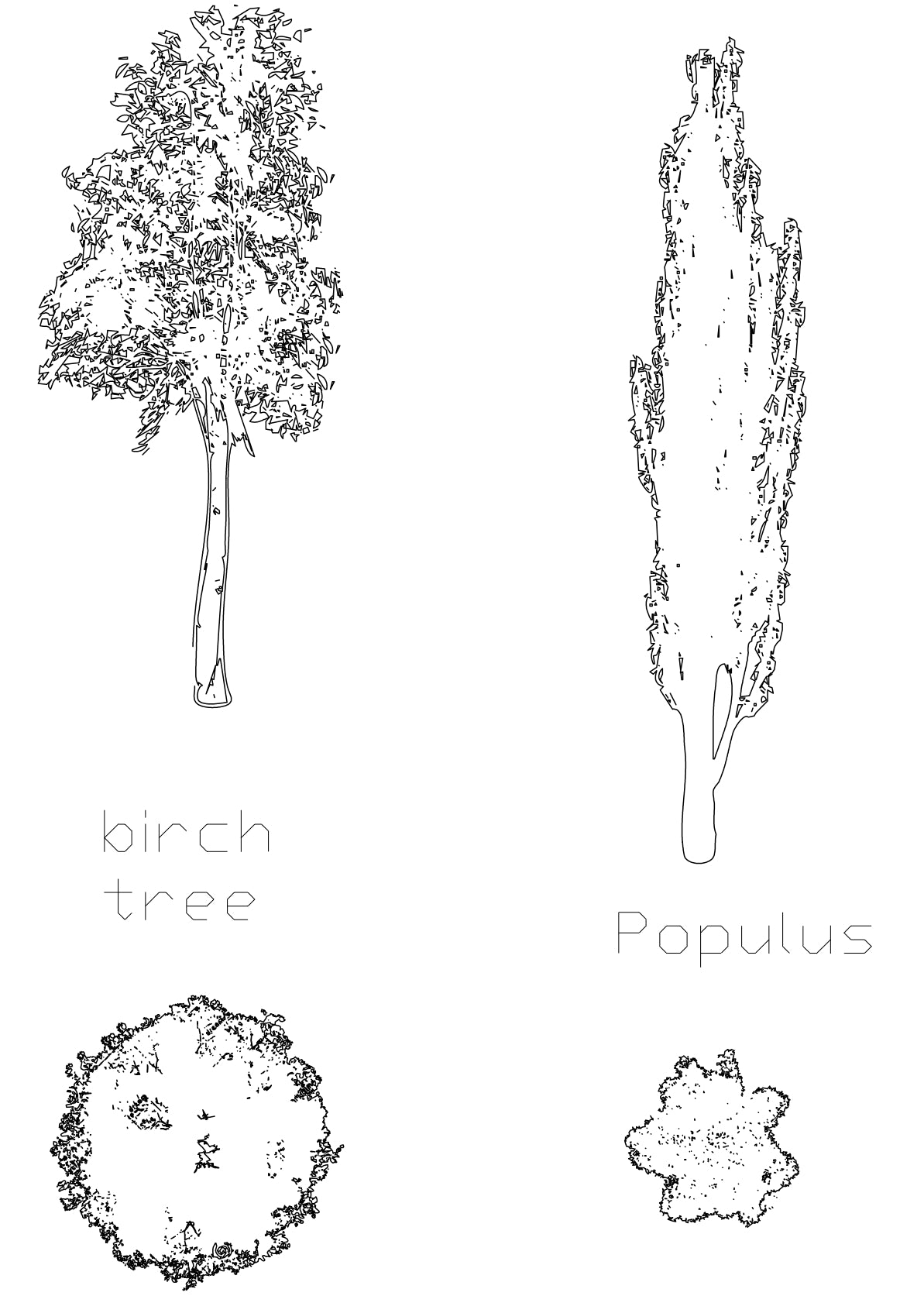 FIA Cad Blocks - Trees 04 – First In Architecture