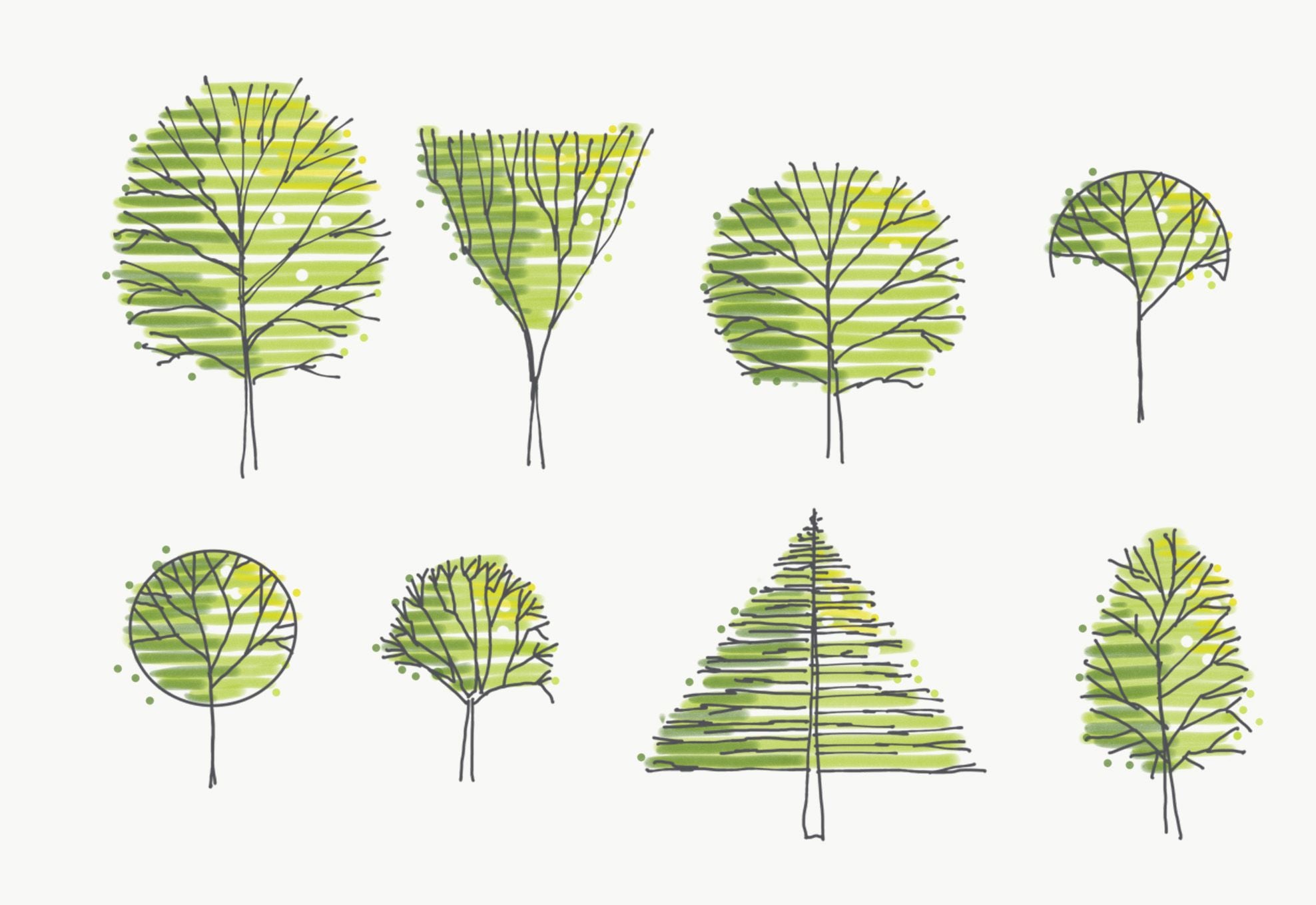 Hand Drawn Tree Elevations Set 7 First In Architecture