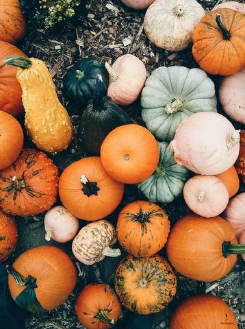 Fall Pumpkins