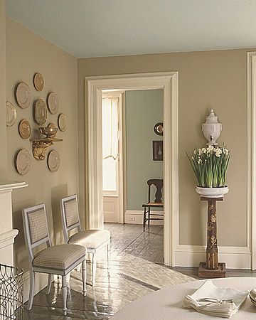 Serene paint in a room