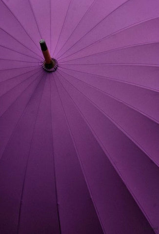 Tyrian Umbrella
