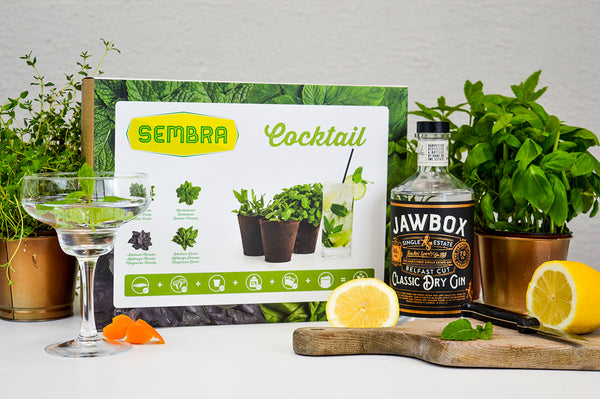 Traditional Garden Games Sembra Cocktail Kit sow your own herbs