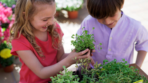 National Children's Gardening Week Grow more smiles with Sembra sow and grow your own kits