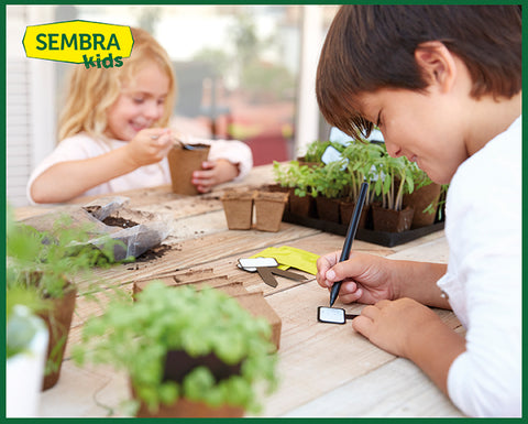 Traditional Garden Games Sembra sow and grow kits