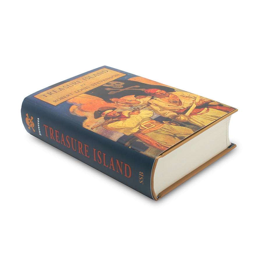 treasure island book