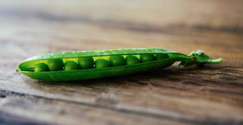 peas-superfood-for-babies-toddler-tumbler-mason-bottle