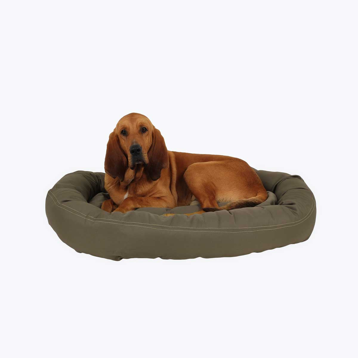 chew resistant dog bed