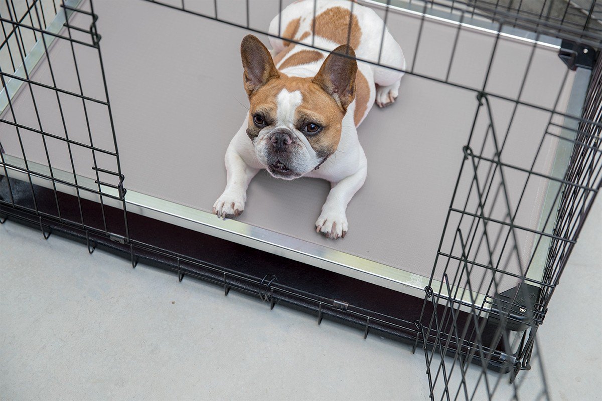Chew proof armored dog crate pad review