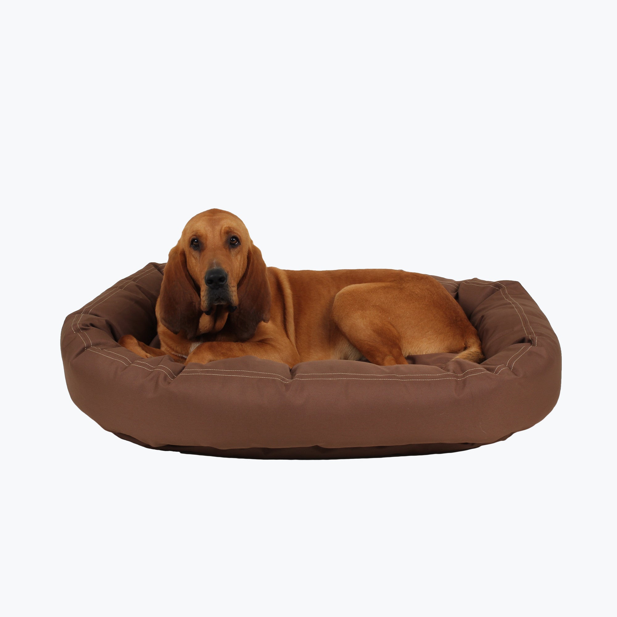 non chew dog bed