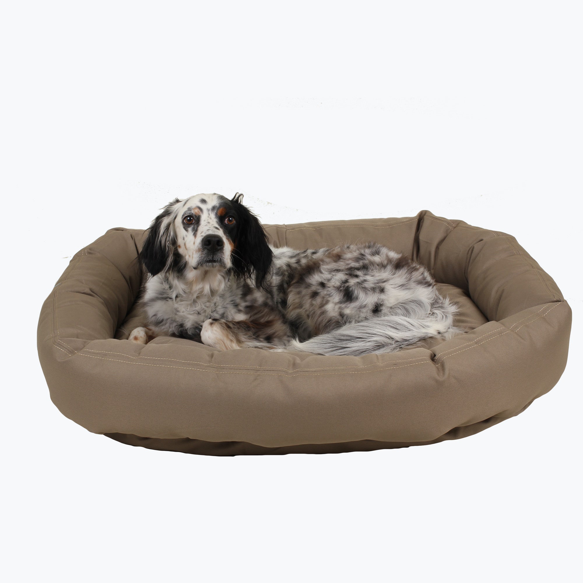 non chew dog bed