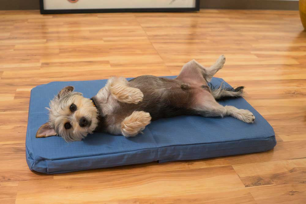 Chew-Resistant TUFF Crate Pad 