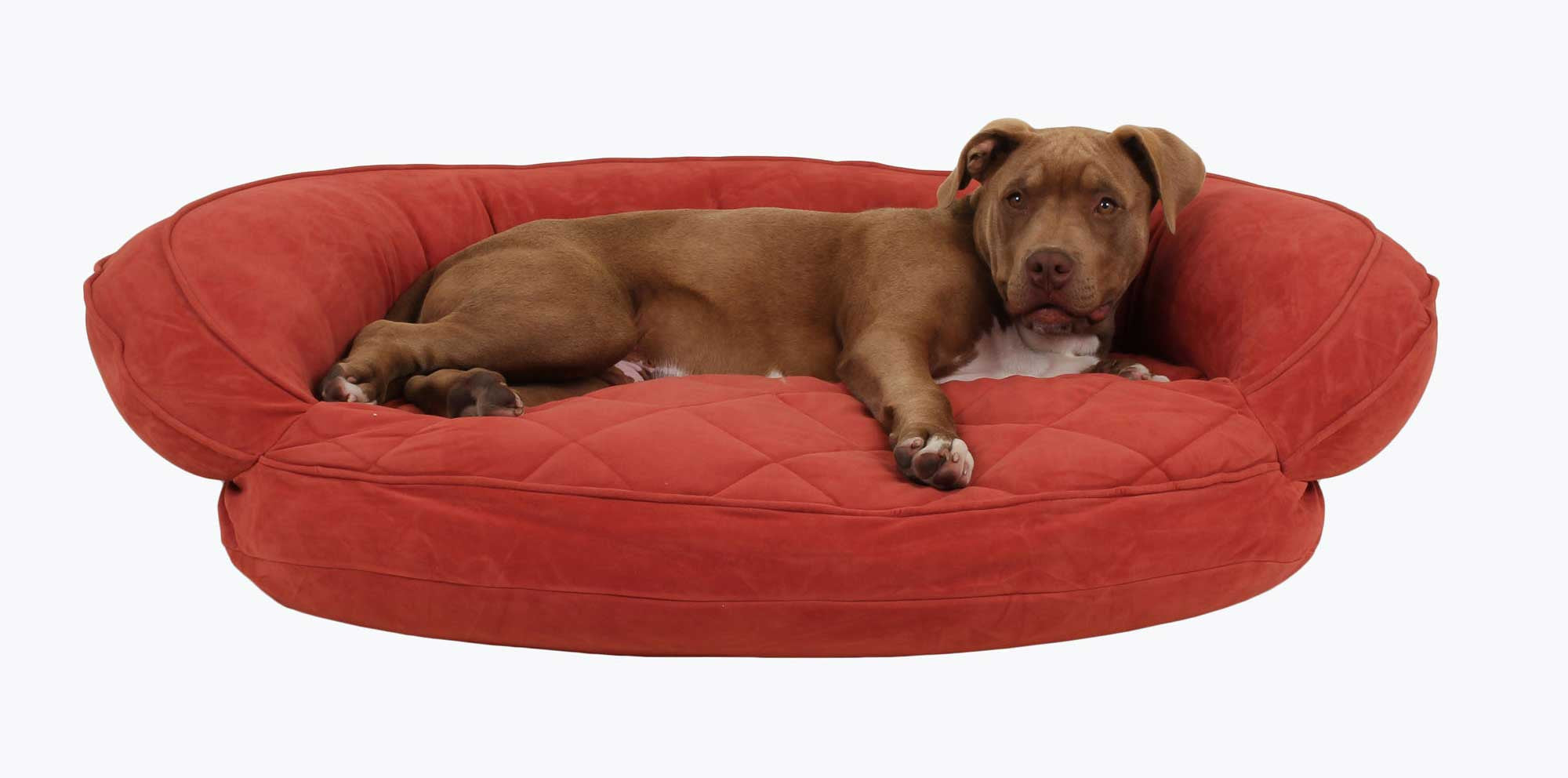 microfiber dog bed