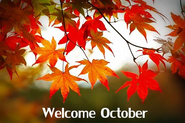 Welcome October! – Must Stash