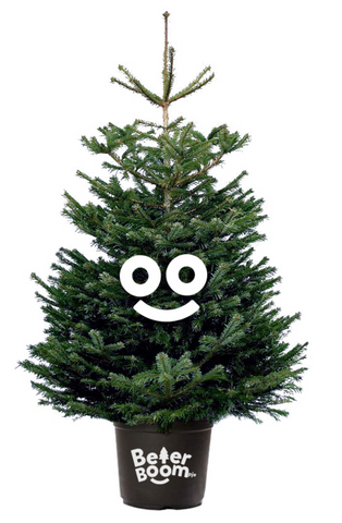 Duurzame kerstboom