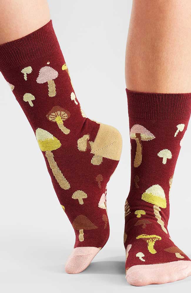 Socks Mushrooms Red 3