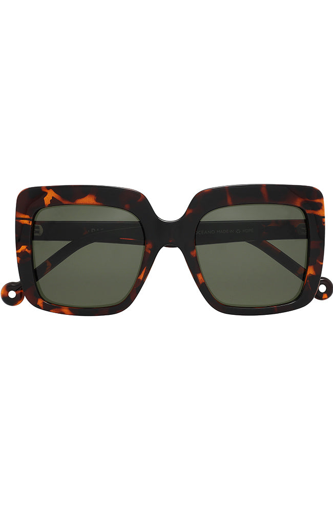 Sunglasses Oceano Tortoise 1