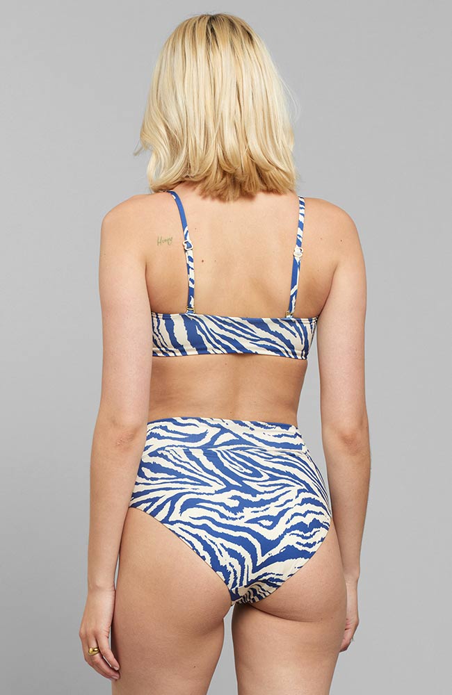 Bikini Bottom Slite Zebra Blue & Off White 4