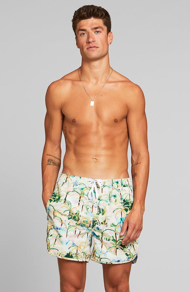 Swim Shorts Tropics 2