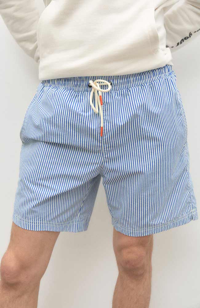 Zwemshort Fiyi Stripes Blauw 6