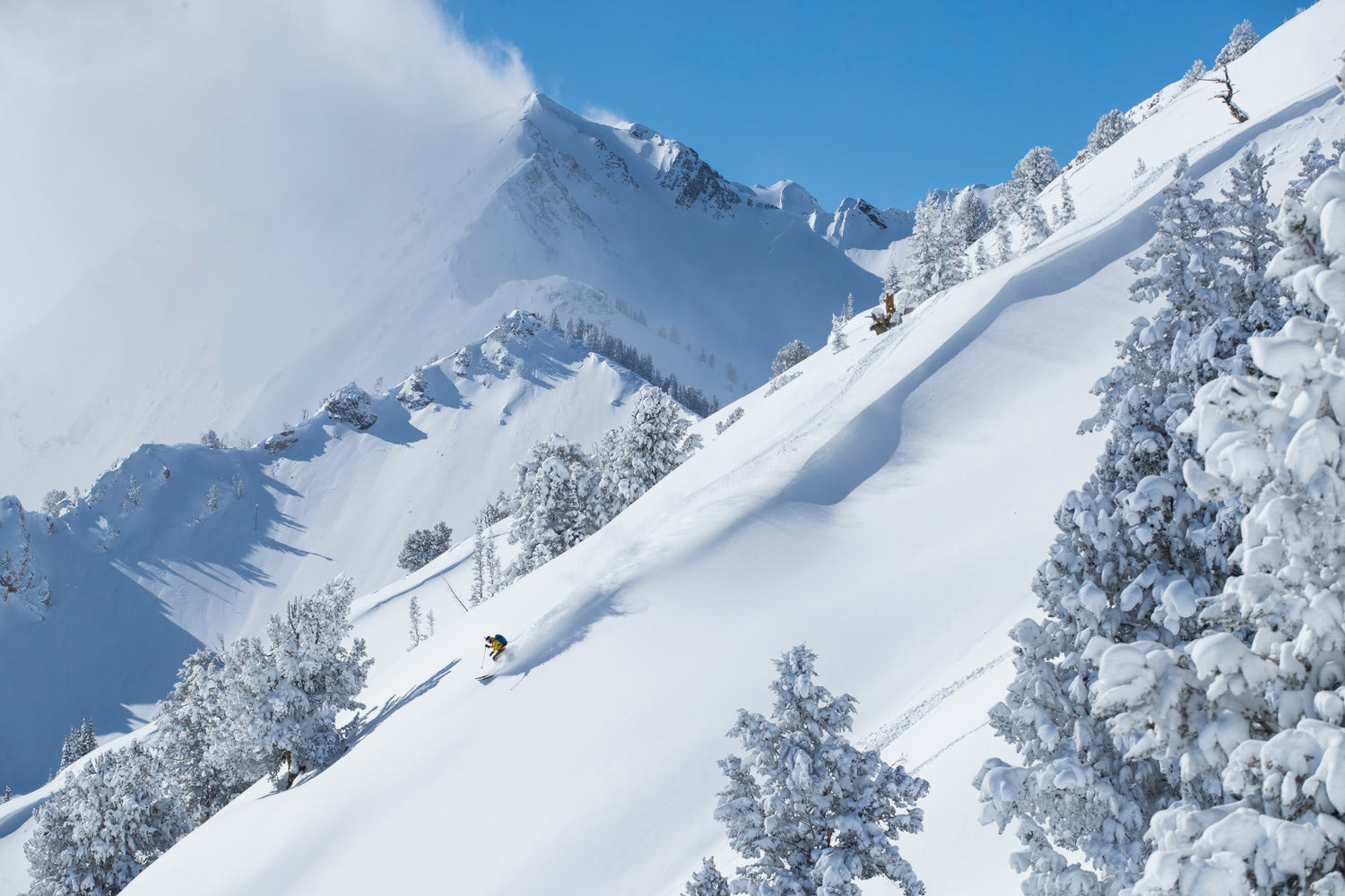 Noah finding fresh tracks in the Wasatch Mountains. Photo by Adam Clark