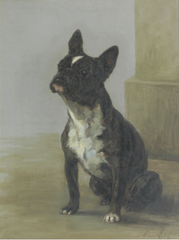 Dog Portrait Bonhams