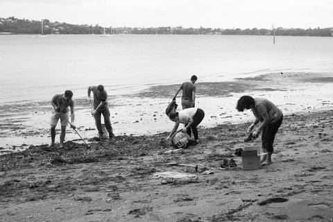 Triumph & Disaster Beach Clean Up 2022