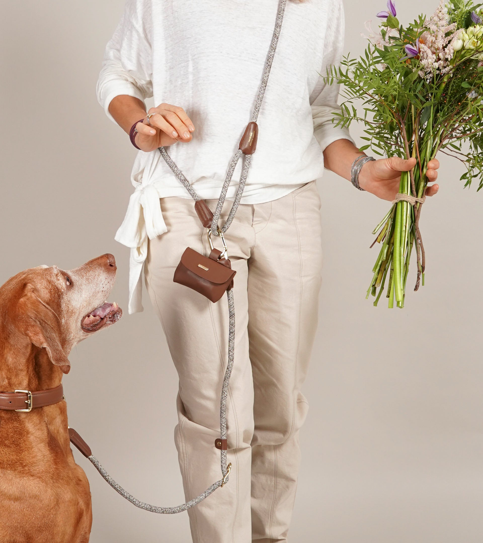 Hands Free Dog Leashes Shoulder Leashes High5dogs