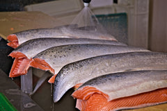 Orkney Salmon