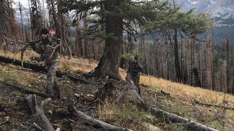 Whitetail Country Elk Hunting Pack Out