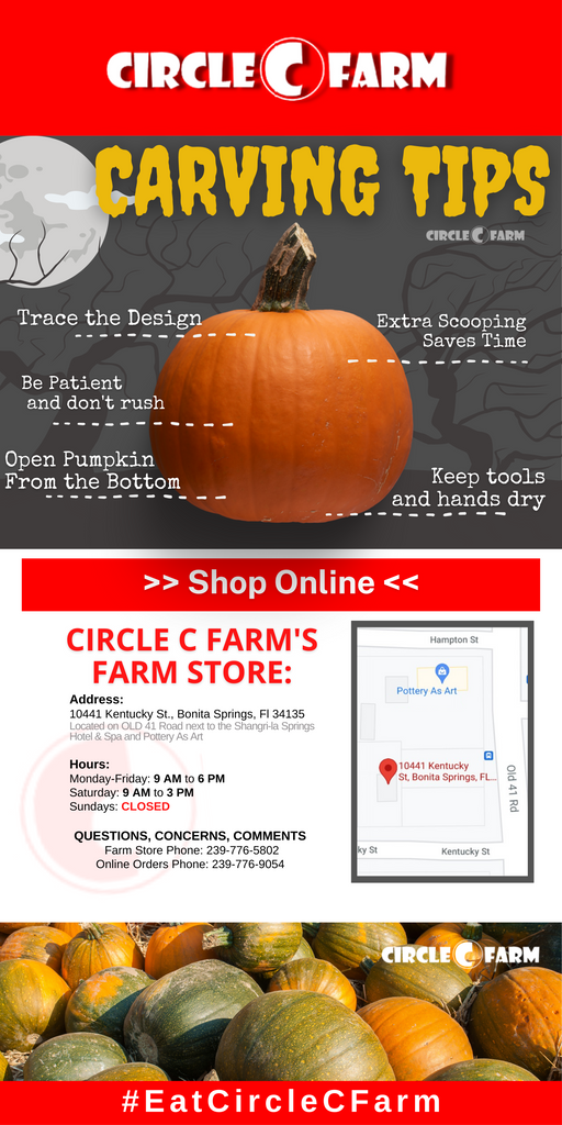 Circle C Farm's Top 5 Tips for Carving Halloween Pumpkins