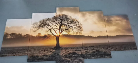 Sunrise-Tree-Canvas