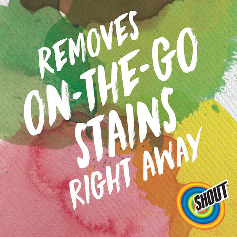 Shout Wipe & Go Instant Stain Remover Wipes 12 Pieces - 2 Pack