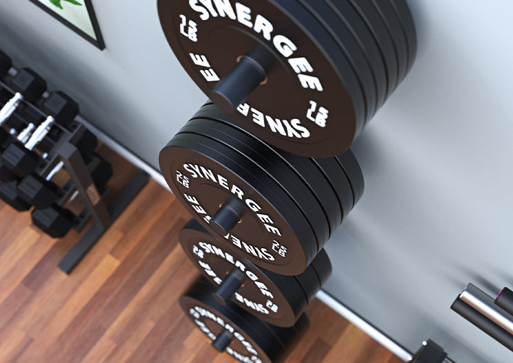 Synergee Weight Plate Wall Storage Rack with Weights