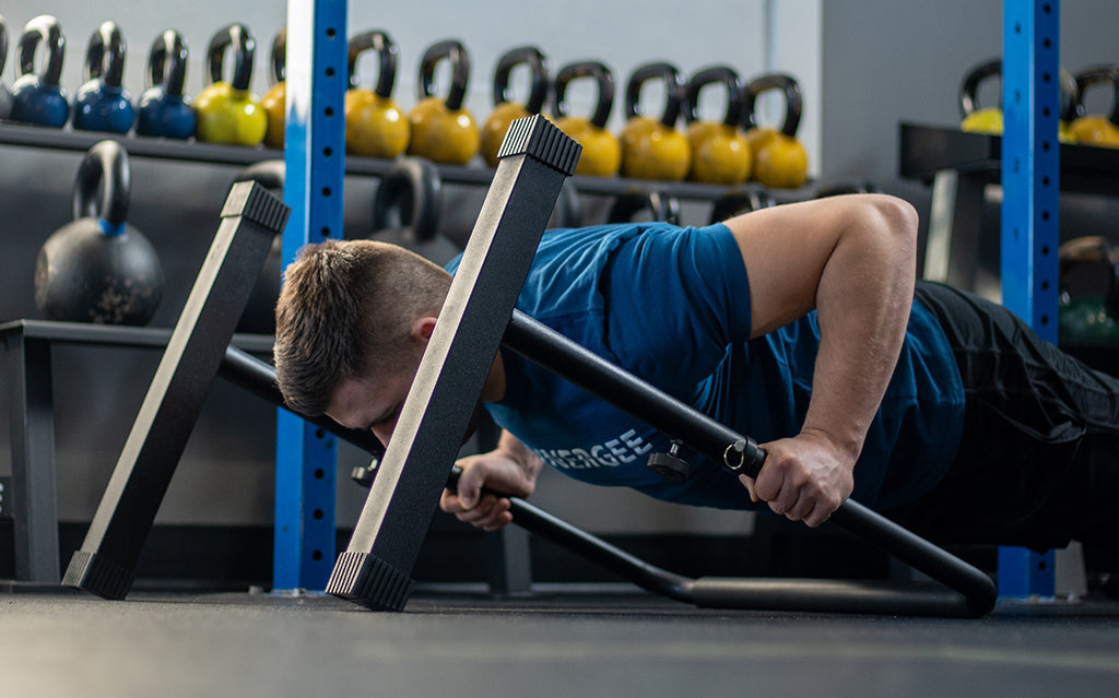 Synergee Adjustable Dip Station Chest Exercise