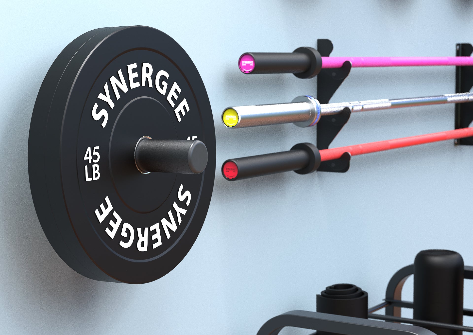 Synergee Weight Plate Storage Pegs at Home Gym