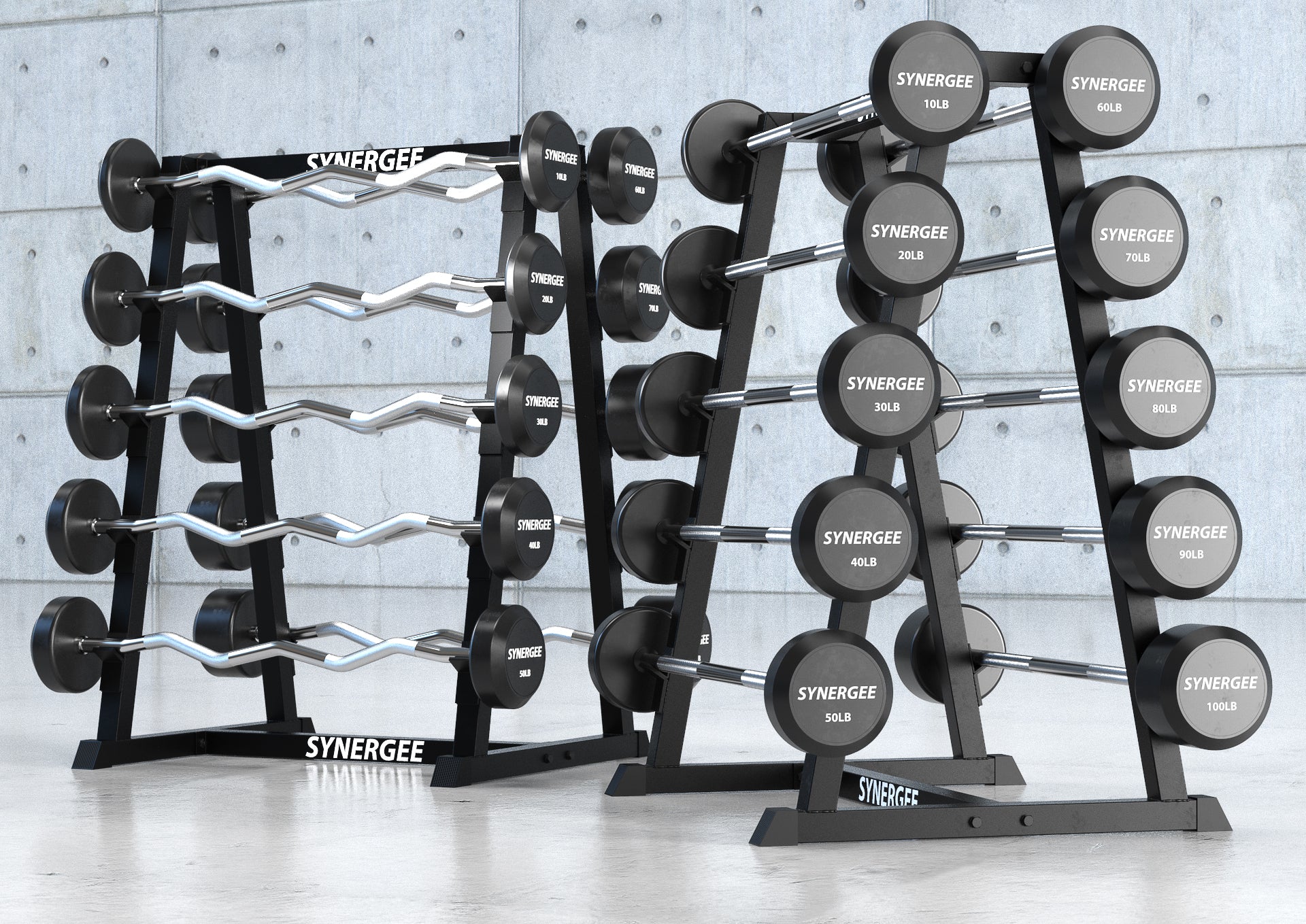 Synergee Fixed Barbell Storage Rack