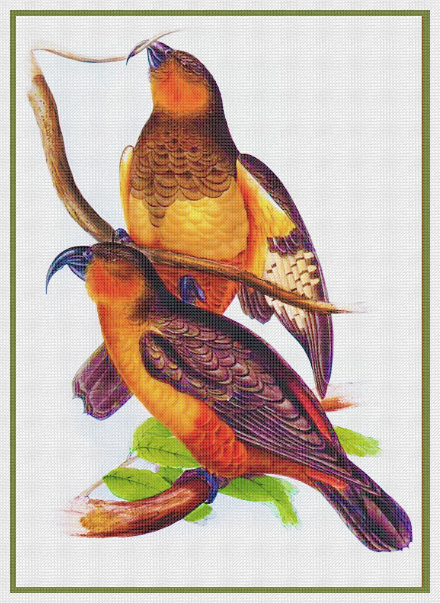 Norfolk Kaka By Naturalist John Gould Of Birds Counted Cross Stitch Pa Orenco Originals Llc