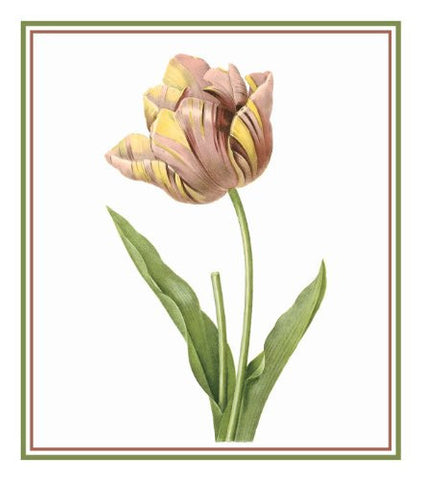 Tulip Flower Illustration inspired by Pierre-Joseph Redoute Counted Cr ...