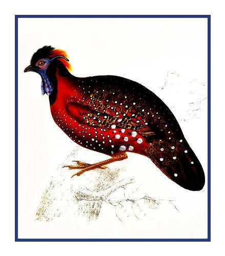 crimson horned pheasant