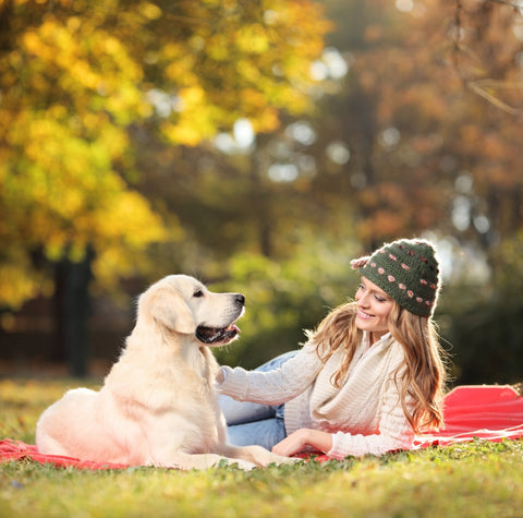 Lloyd and Lucy's Pet Supplies' joint supplement includes ingredients like Chondroitin for dogs to promote joint health.