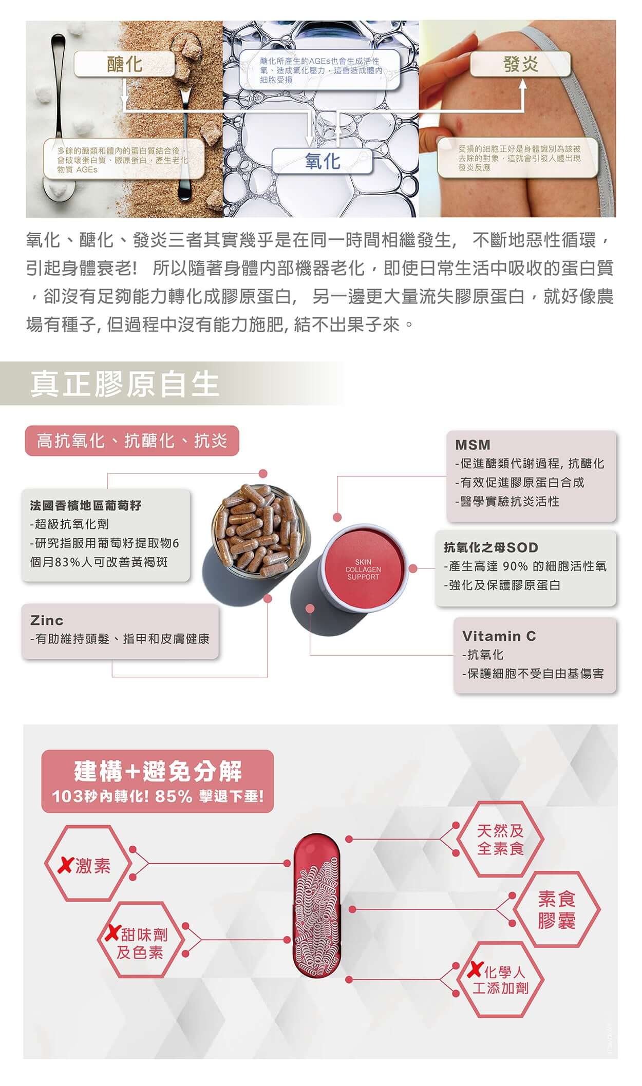 ANP 激活膠原回彈療程 Skin Collagen Support product description 2