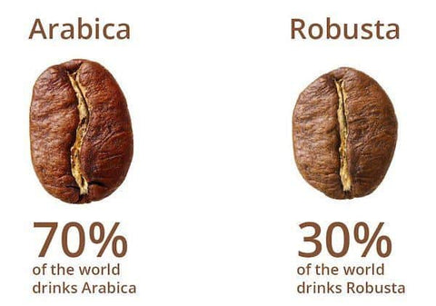 Você conhece as variedades de Arábica? - Blog Have a Coffee