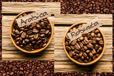 arabica coffee, robusta coffee