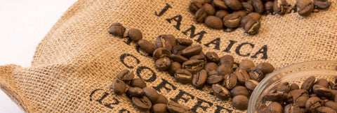 jamaika blua monta kafo, blua monta kafo, jamaika kafo, arabica kafo, frandaĵa kafo