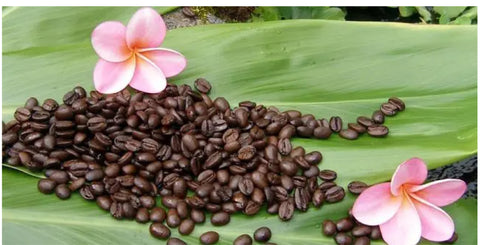 kona kaffe, bästa kona kaffe hawaii, bästa kona kaffebönor, hawaiianskt kaffe, världens bästa kaffebönor