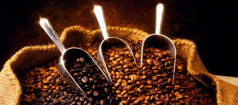 typer av kaffe, typer av kaffebönor, gourmetkaffe, arabica-kaffe