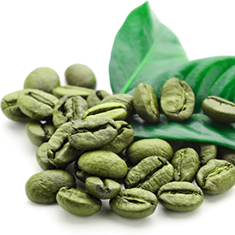 Green Caffeen