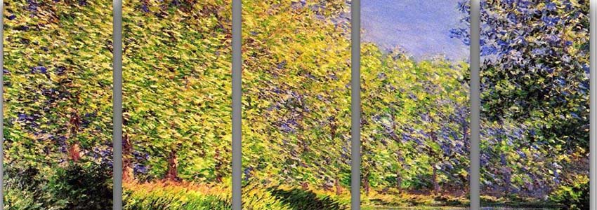 Monet 5 Split Panel Canvas Prints