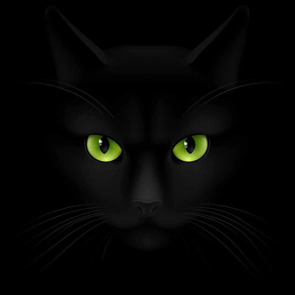 Mèo đen với đôi mắt xanh rực rỡ không chỉ đáng yêu mà còn rất bí ẩn và quyến rũ, hãy xem hình ảnh để khám phá thêm nhiều điều thú vị.